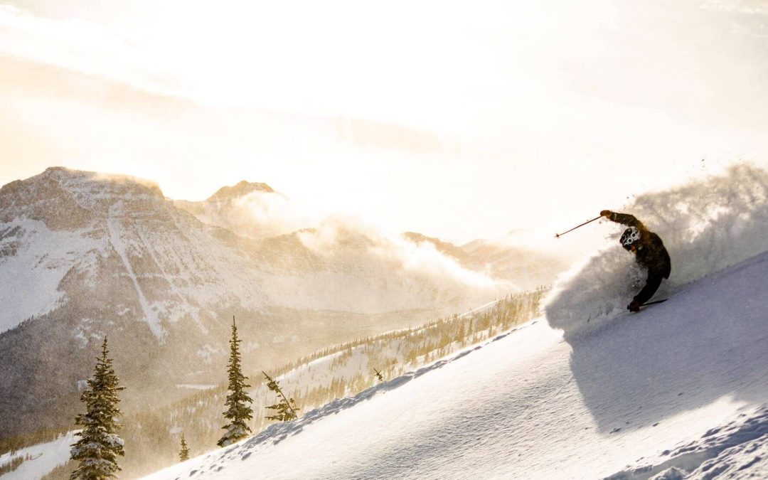 ANGEL EXPRESS QUAD CHAIRLIFT ACQUISITION