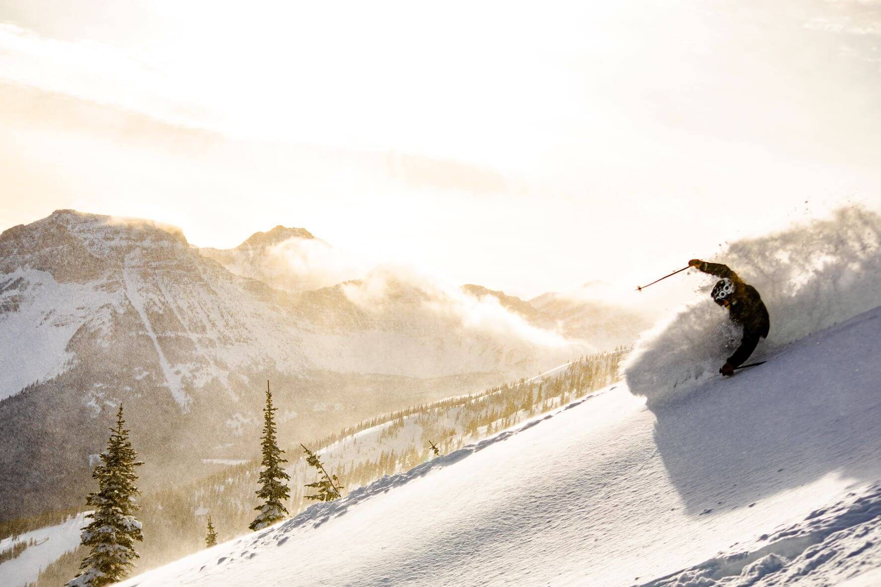 ANGEL EXPRESS QUAD CHAIRLIFT ACQUISITION