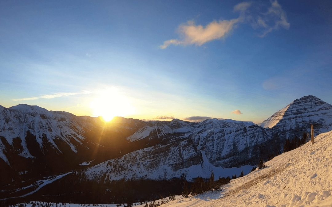 Weekly Video Update – January 14th 2021
