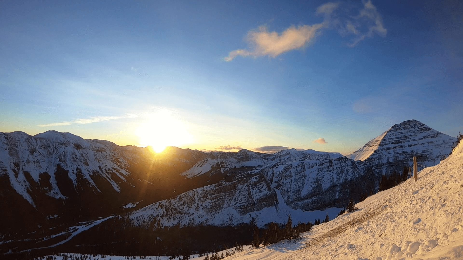 Weekly Video Update – January 14th 2021