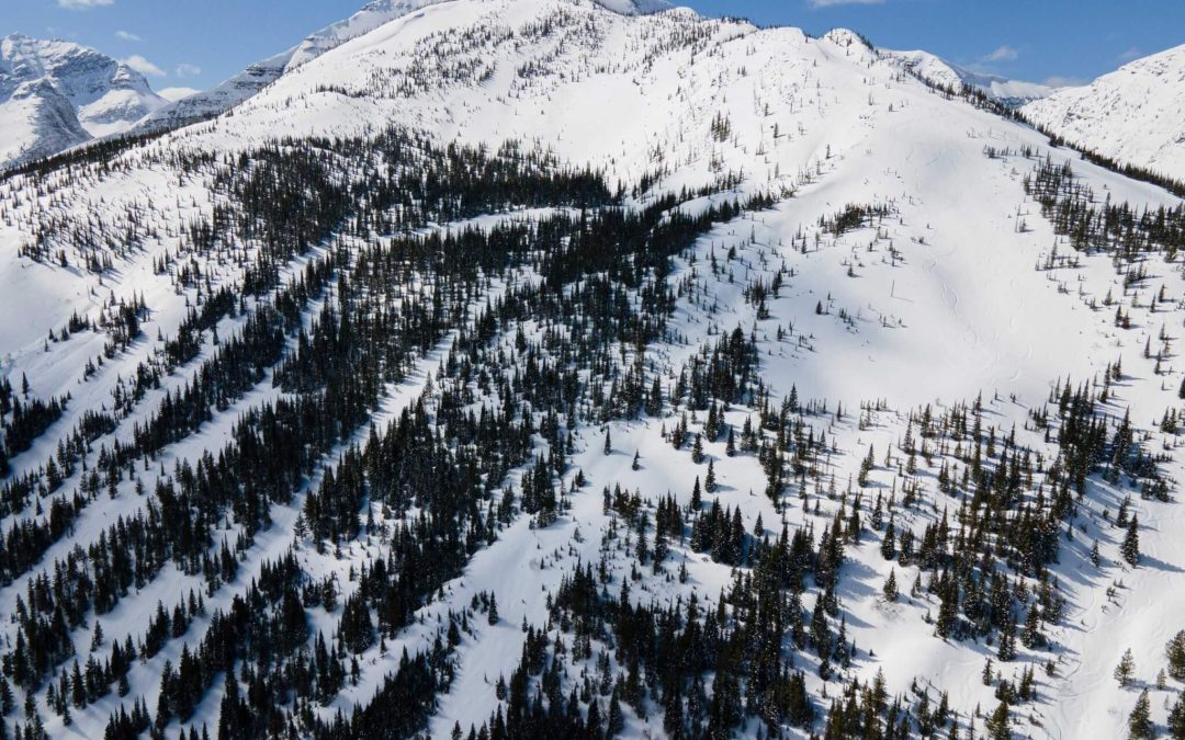 MT. HAIG AREA CLOSURE NOTICE