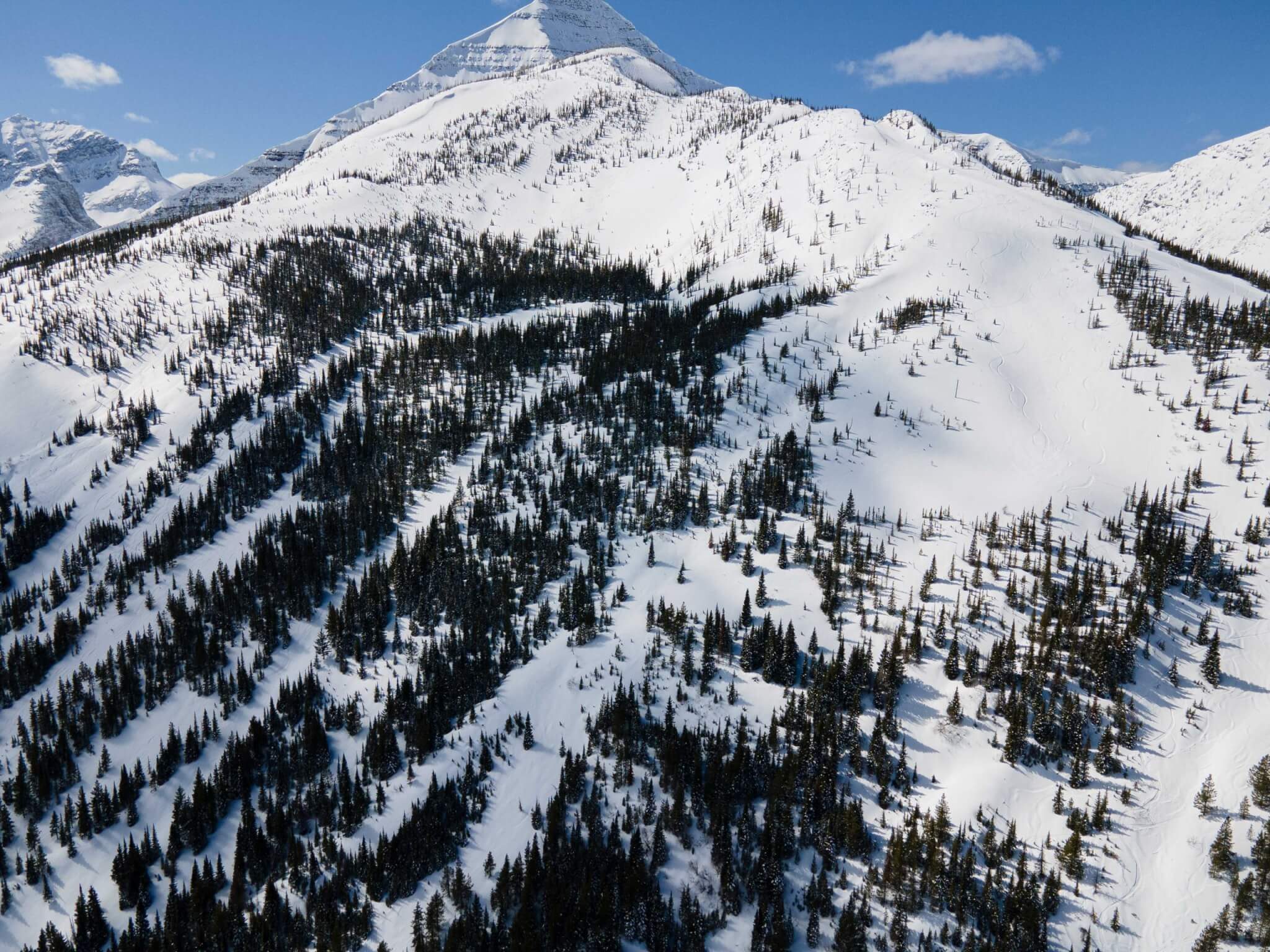 MT. HAIG AREA CLOSURE NOTICE