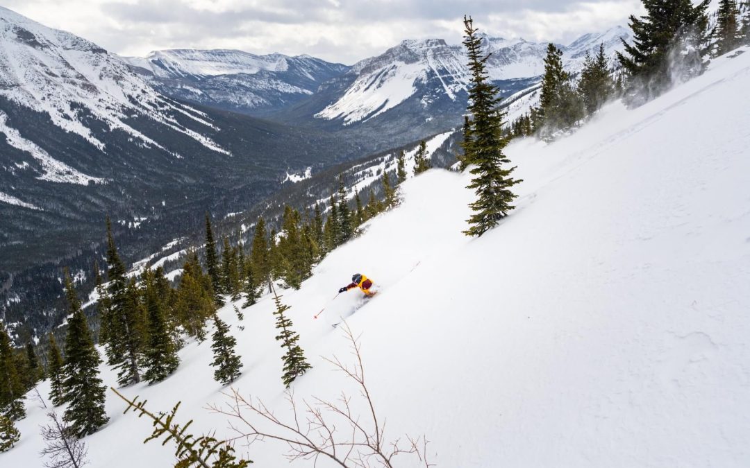 SUPER EARLY BIRD SEASON PASS SALE DEADLINE