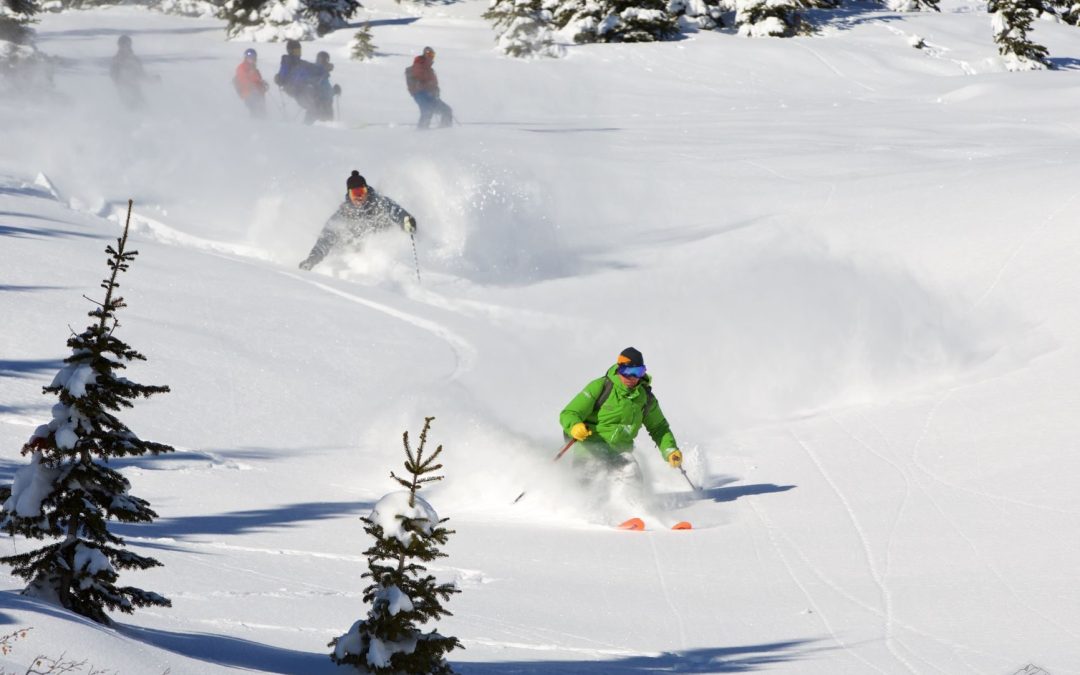 BUY A CAT SKIING DAY & GET A RESORT DAY FREE!