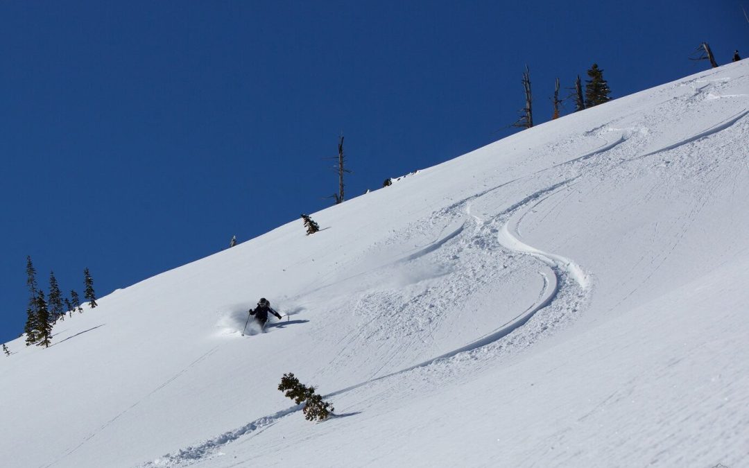 The Cat Came Back – Easter Sunday Cat Skiing