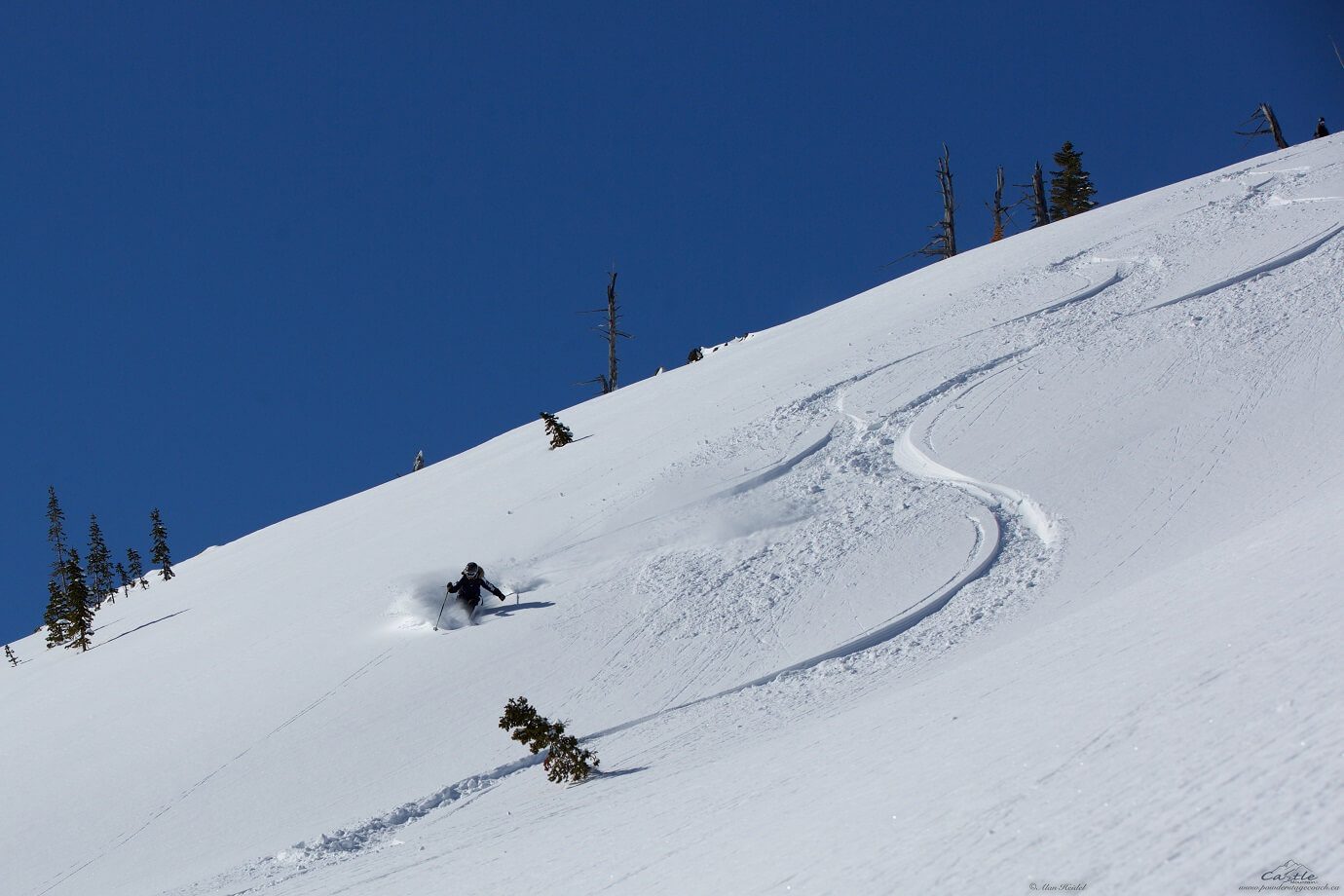 The Cat Came Back – Easter Sunday Cat Skiing