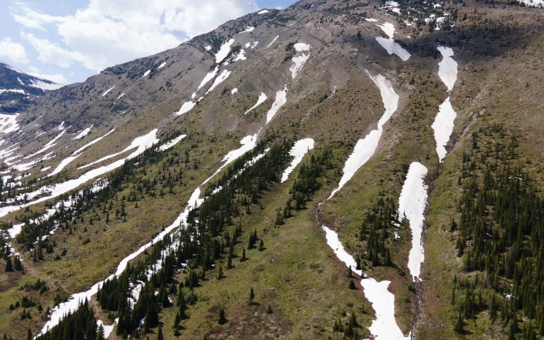 “Name That Run” Summer Instagram Contest