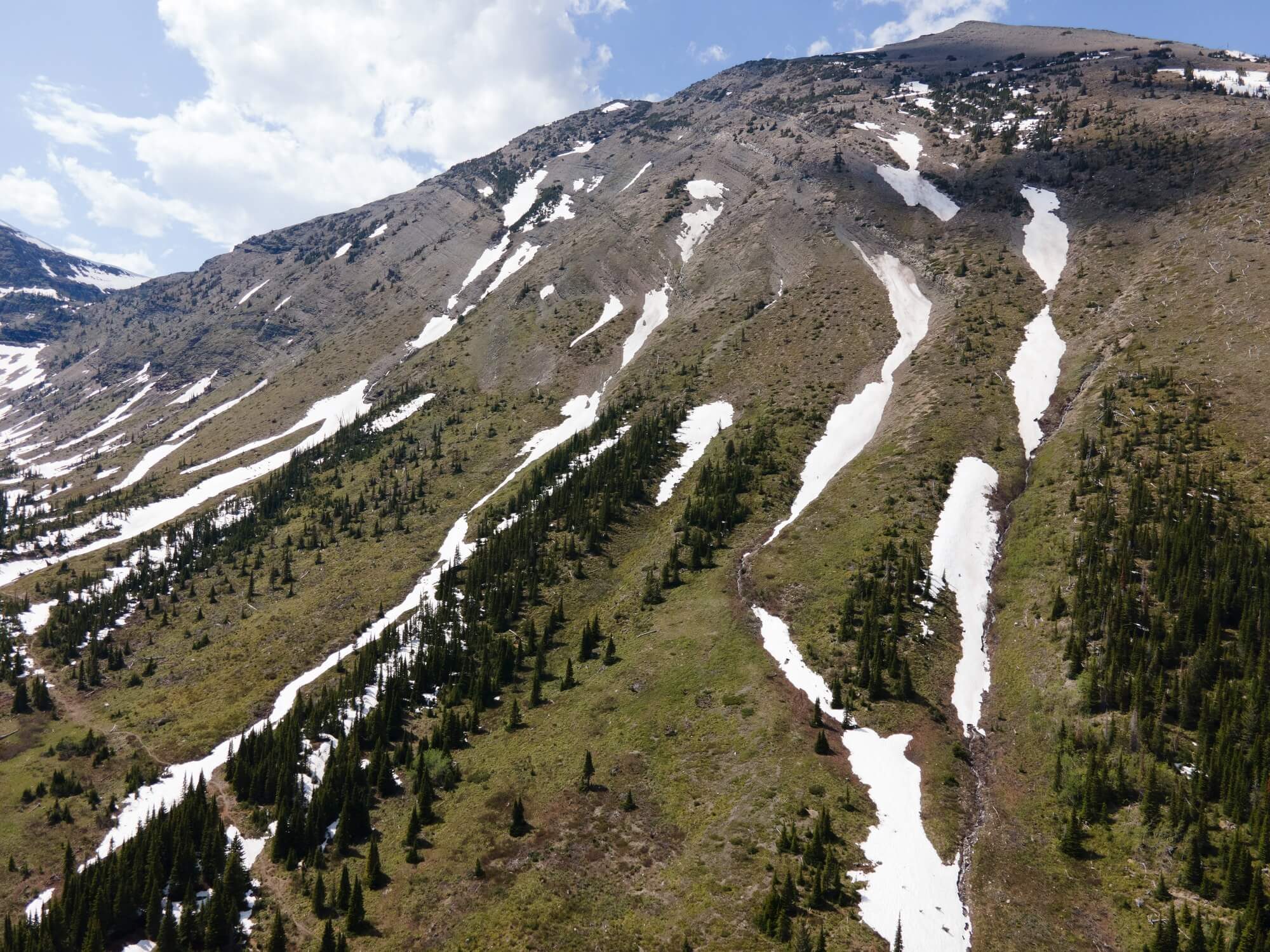 “Name That Run” Summer Instagram Contest
