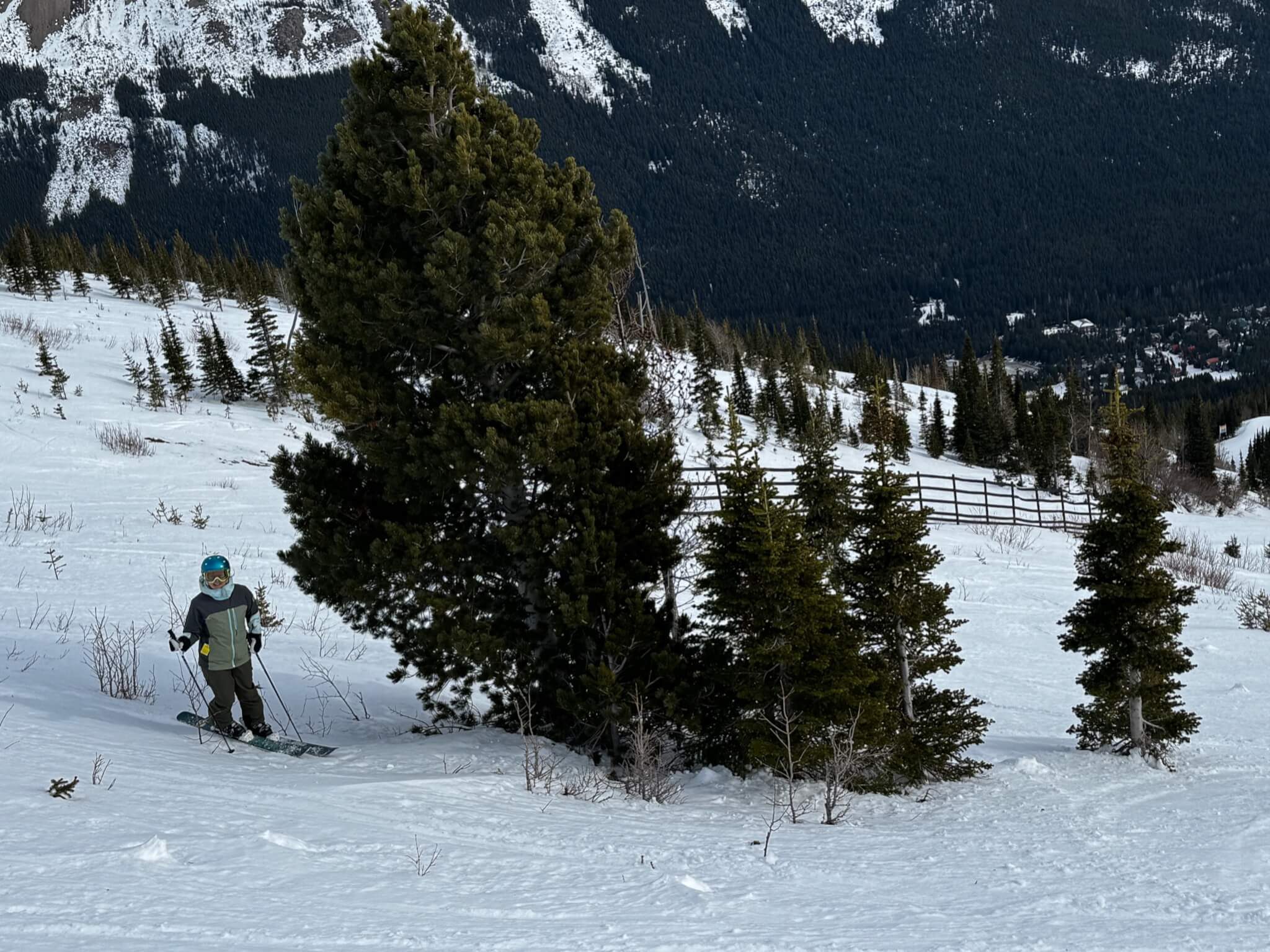 CMR BECOMES WHITEBARK PINE FRIENDLY SKI AREA