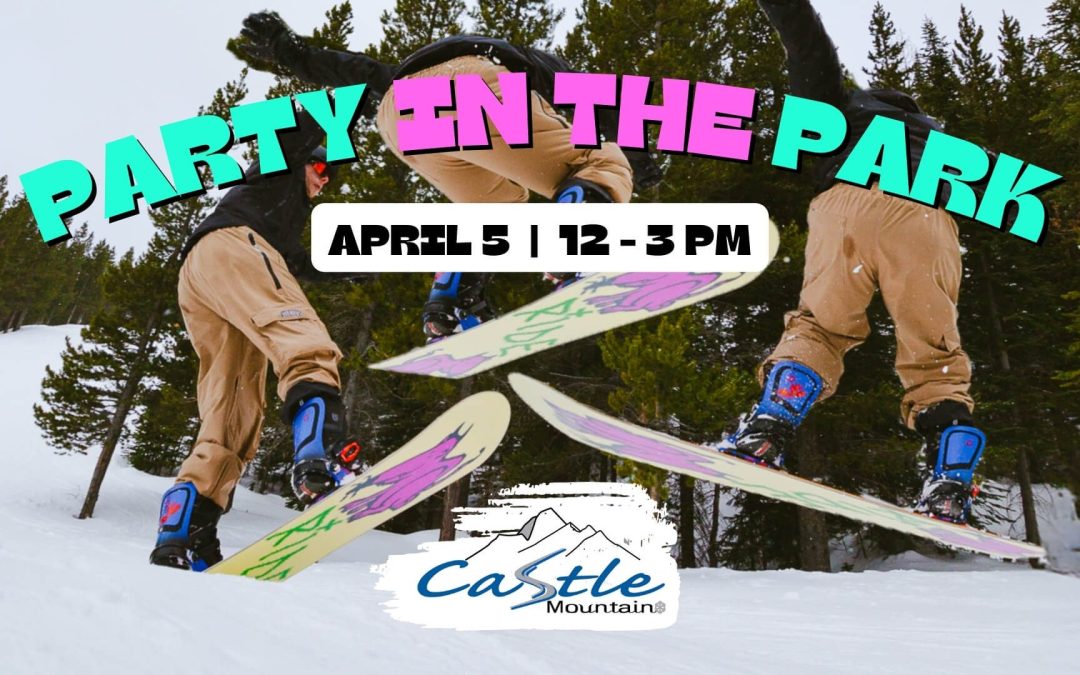 PARTY IN THE PARK