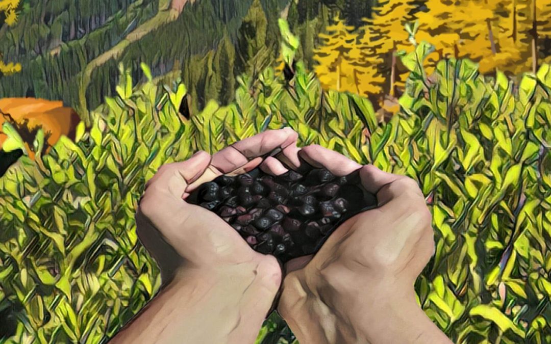 Huckleberry Fest 2017 Schedule Announced