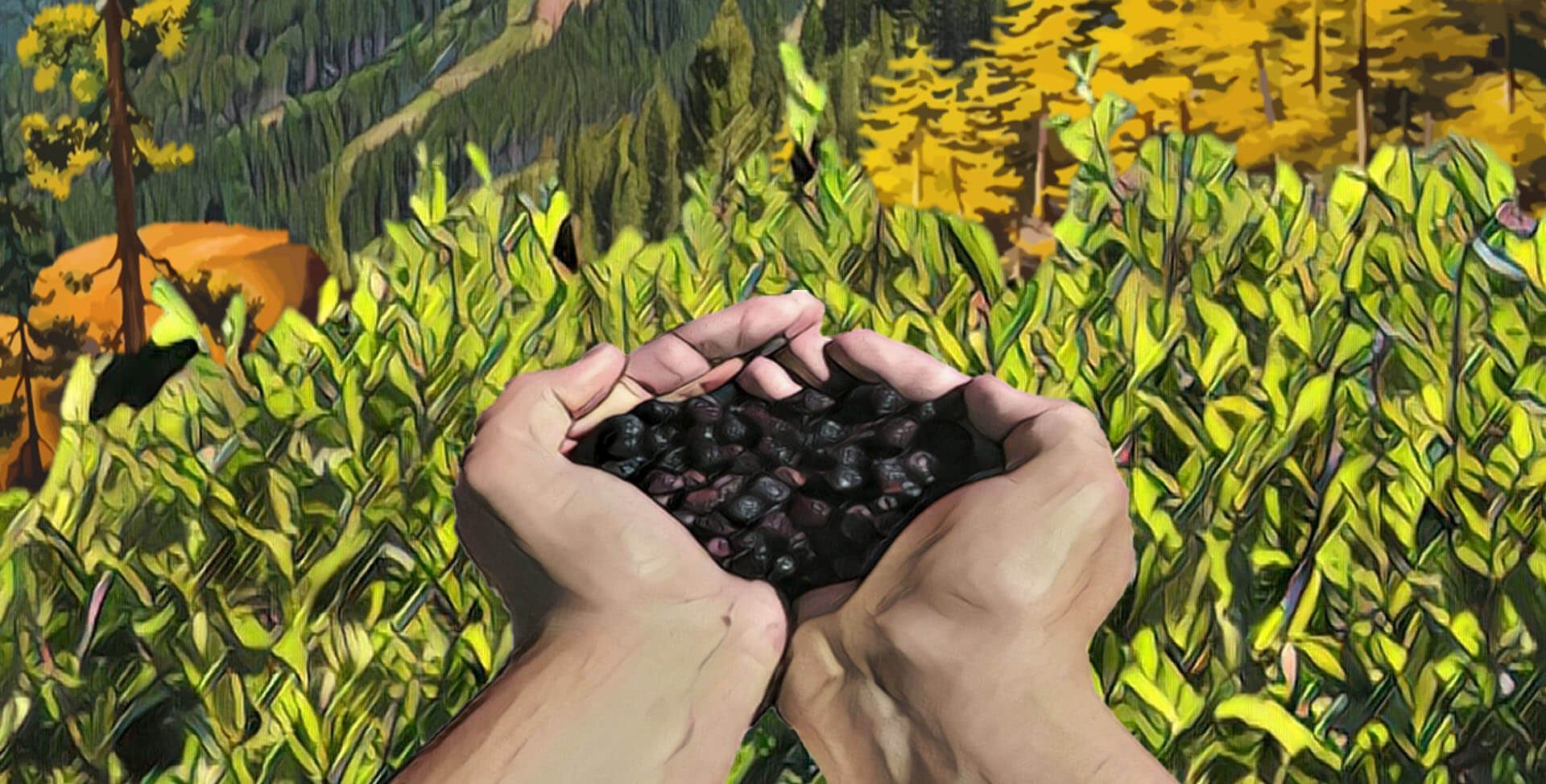 Huckleberry Fest 2017 Schedule Announced