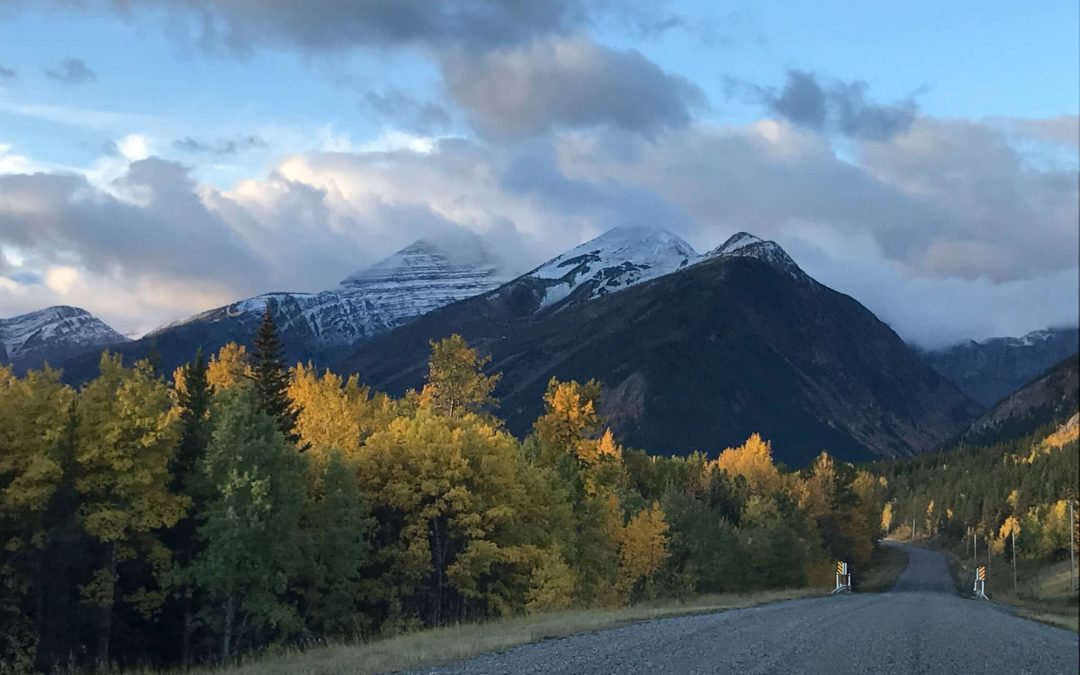 Paving and Water
