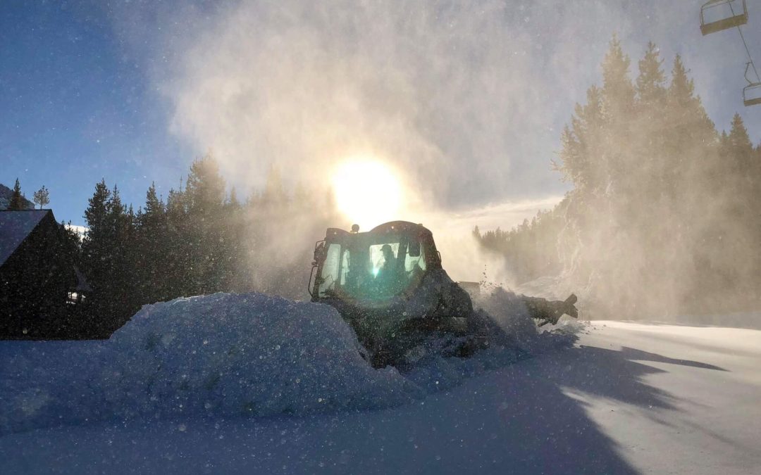 Upcoming Opening Weekend