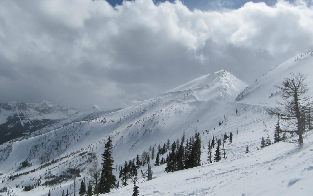 Spring Pass & Card Holder Perks!