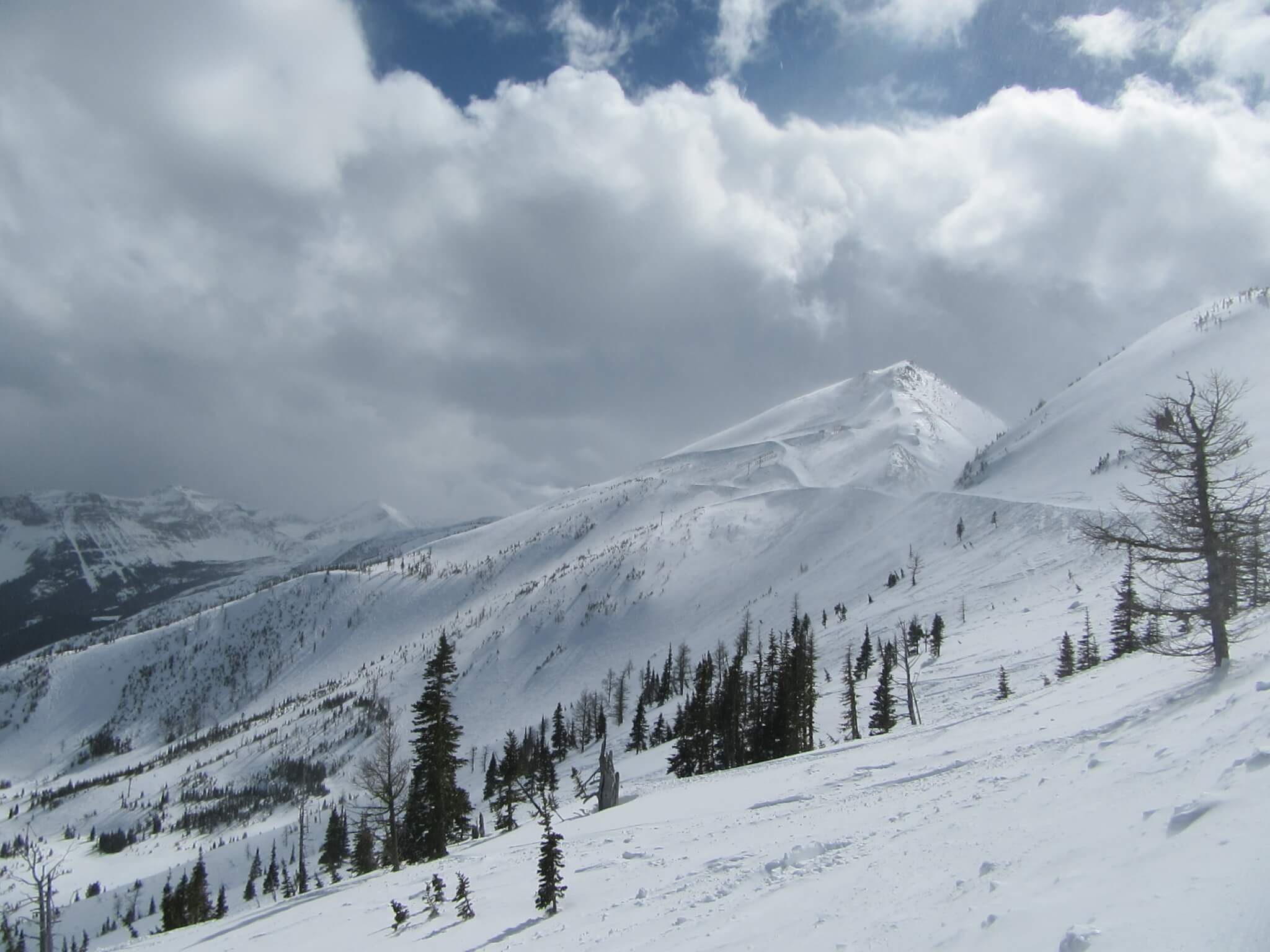 Spring Pass & Card Holder Perks!