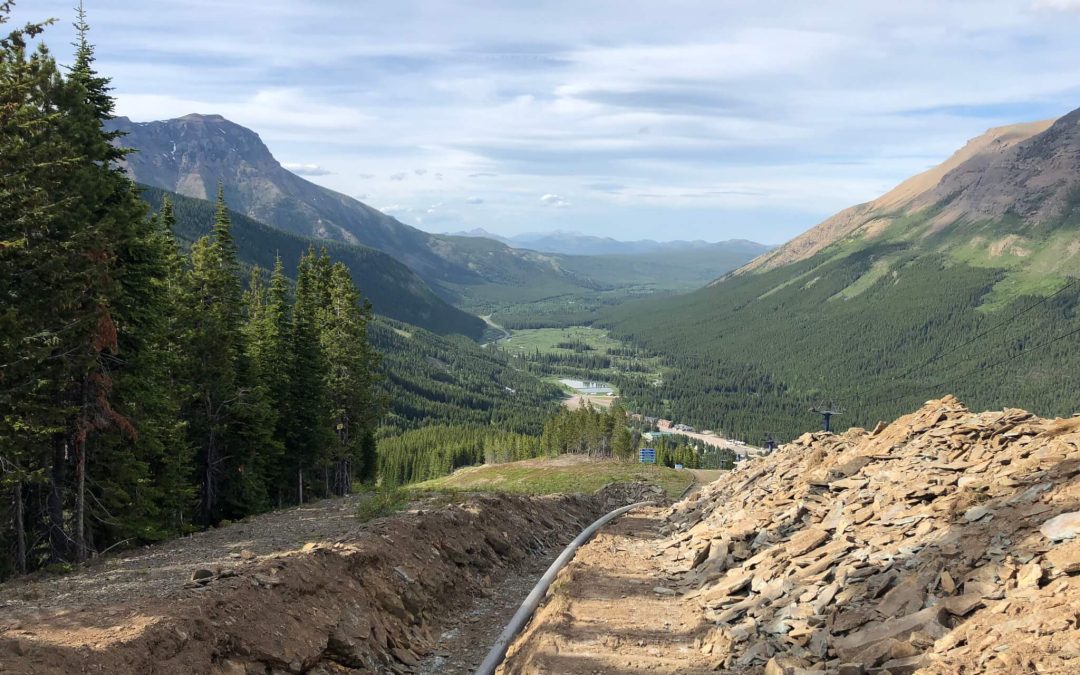 SUMMER PROJECTS UPDATE – JUNE 17, 2019