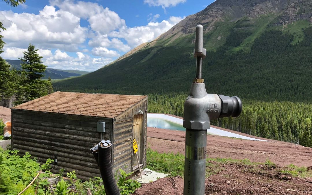 SUMMER PROJECTS UPDATE – JUNE 25, 2019