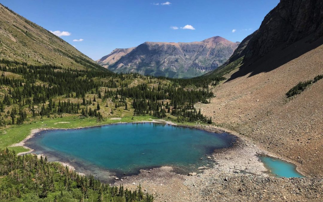 TEMPORARY TRAIL CLOSURE IN EFFECT