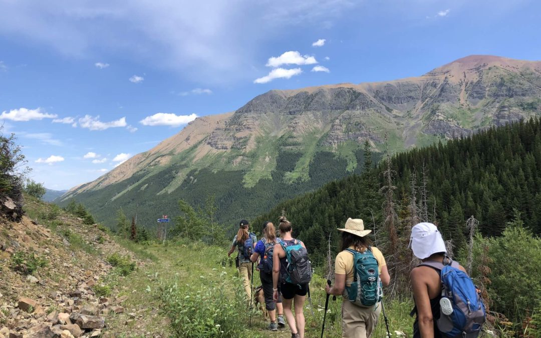 TOP 5 HIKES IN CASTLE PROVINCIAL PARK