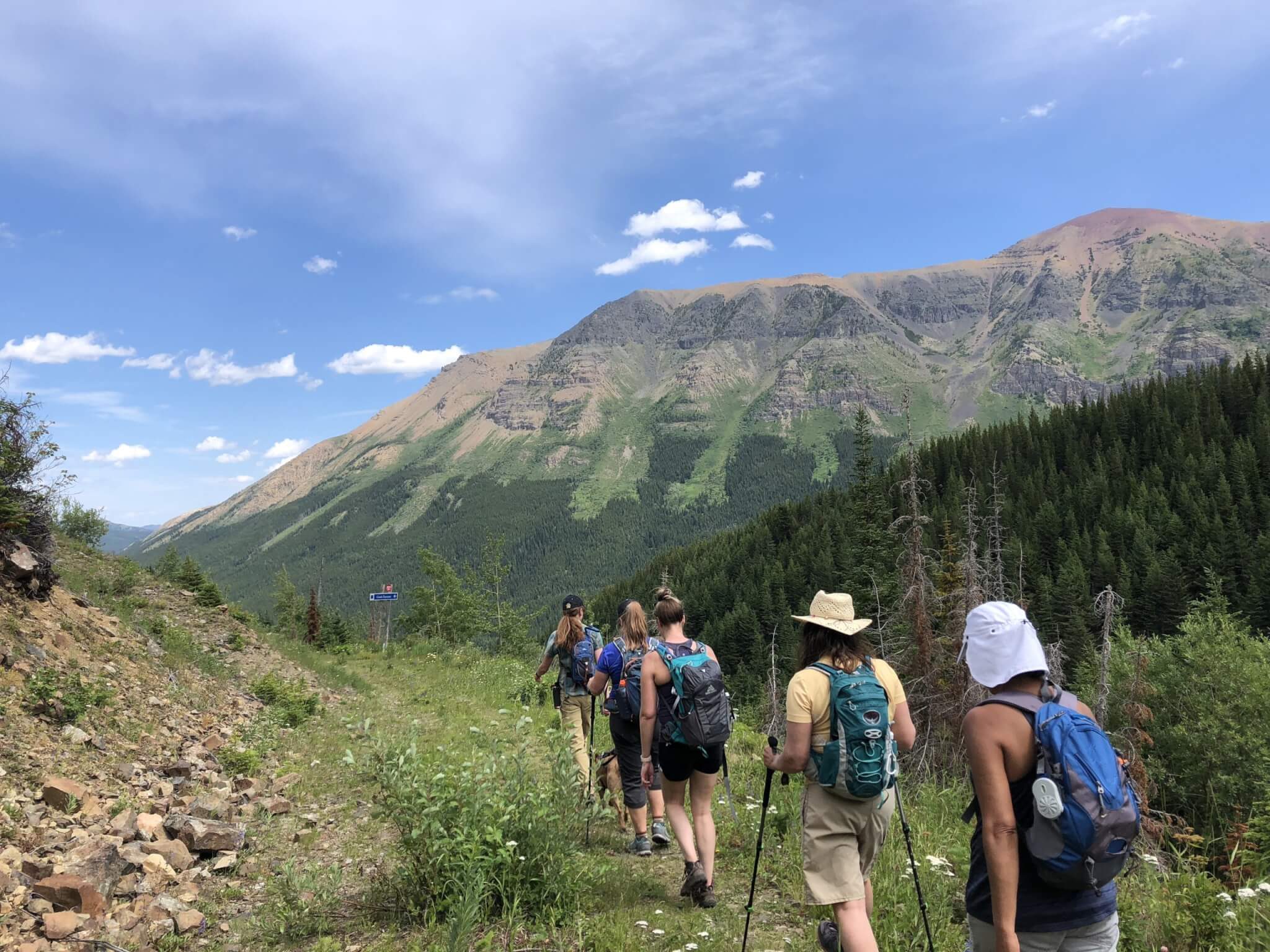 TOP 5 HIKES IN CASTLE PROVINCIAL PARK