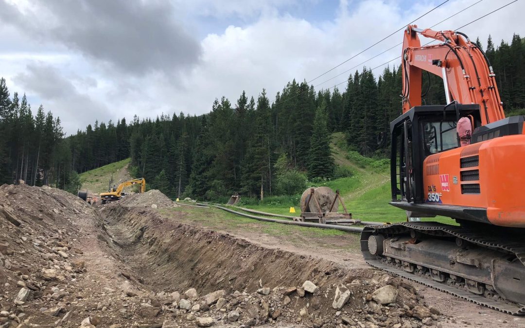 SUMMER PROJECT UPDATE – JULY 22, 2019