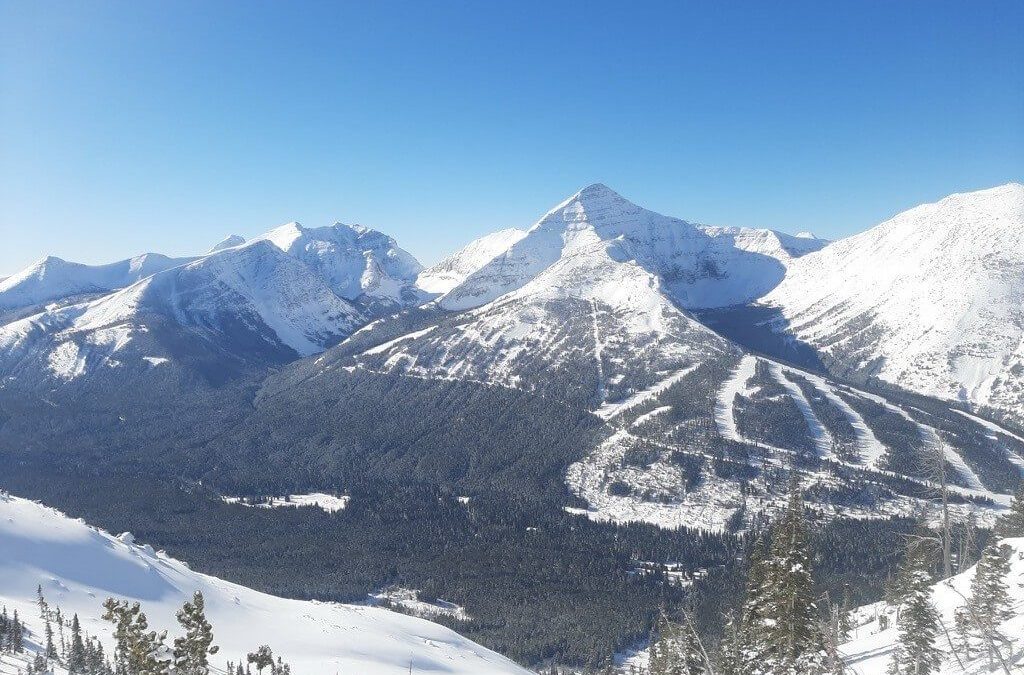 NEW LIFT NAME ANNOUNCEMENT