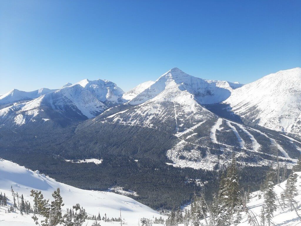 NEW LIFT NAME ANNOUNCEMENT