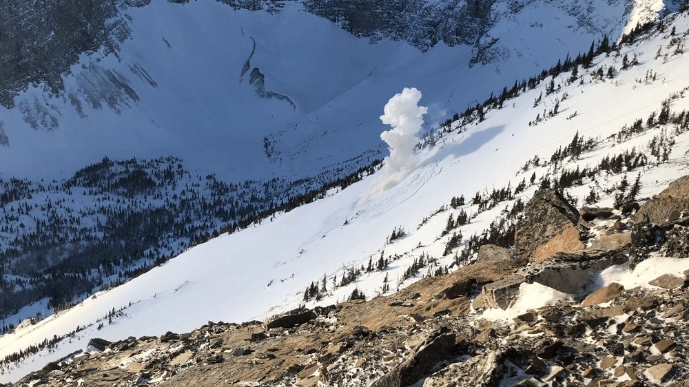 Weekly Video Update – January 21st 2021