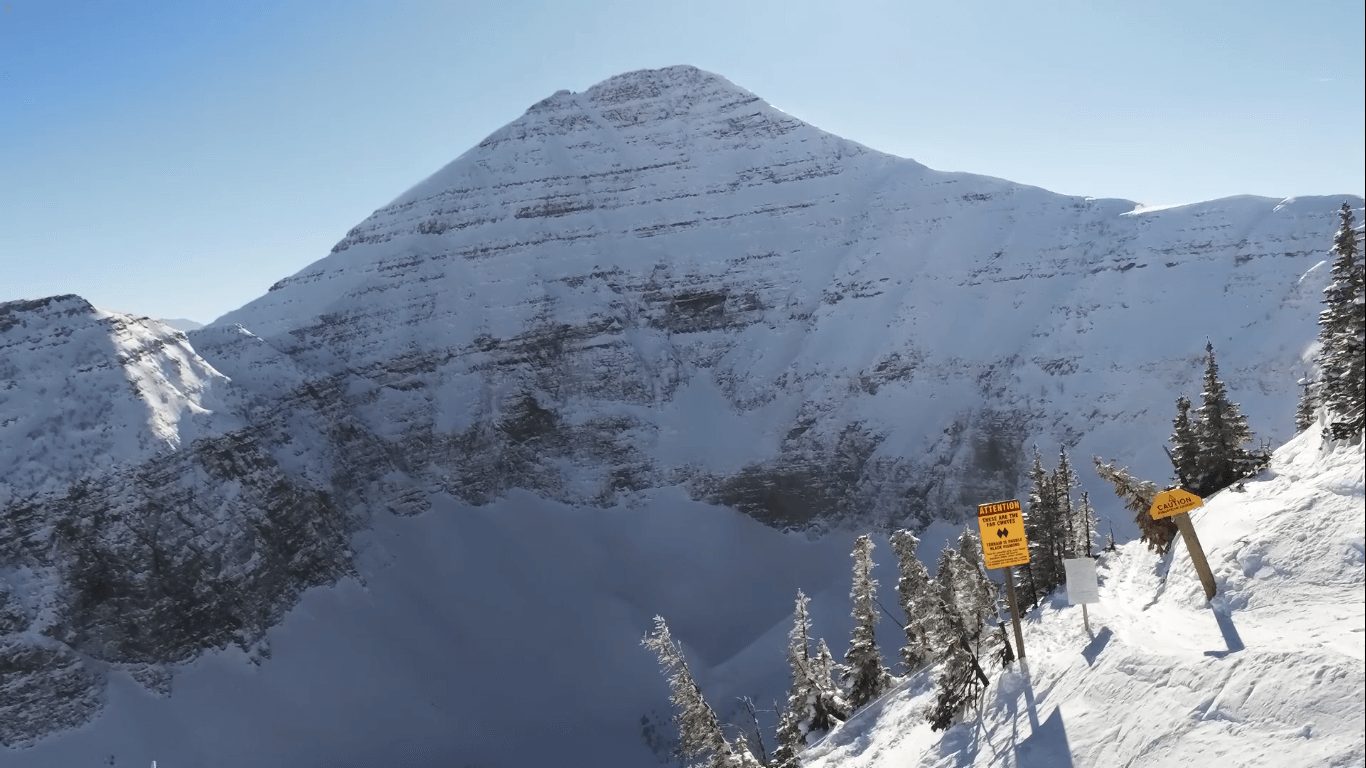 WEEKLY VIDEO UPDATE – FEBRUARY 20