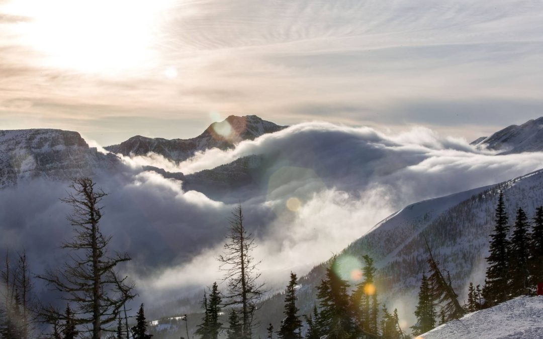 STATEMENT ON IN-BOUNDS AVALANCHE – 2/15/2019