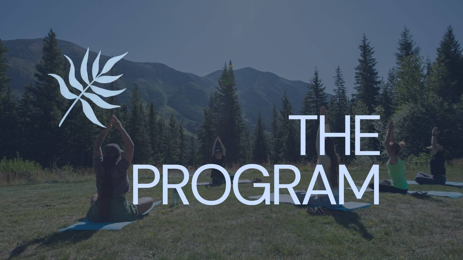 the program