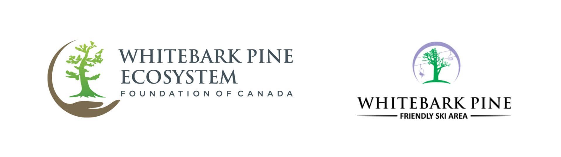 whitebark pine logos